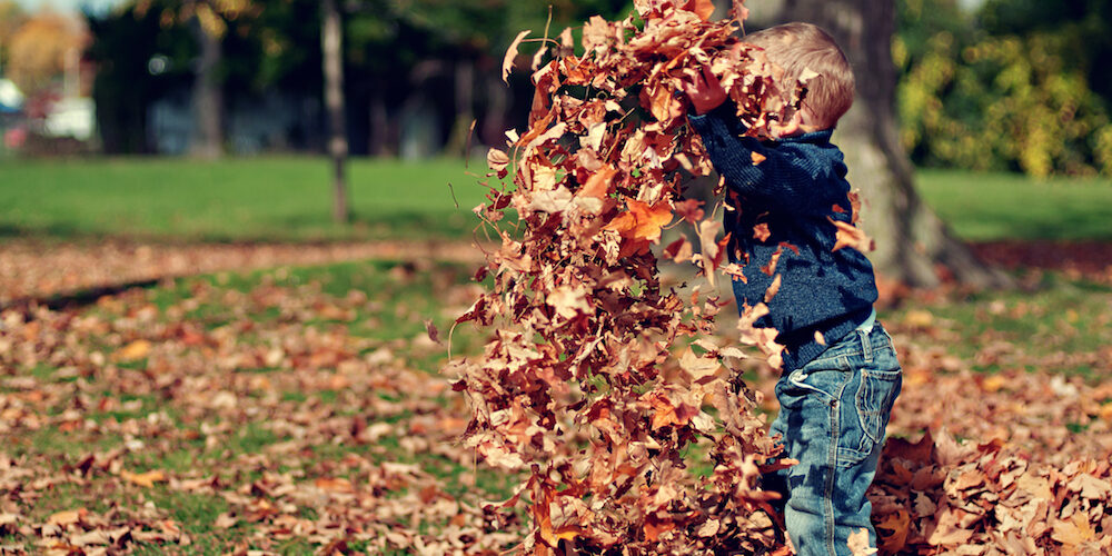 Niños y naturaleza. Aprendizaje con los cinco sentidos