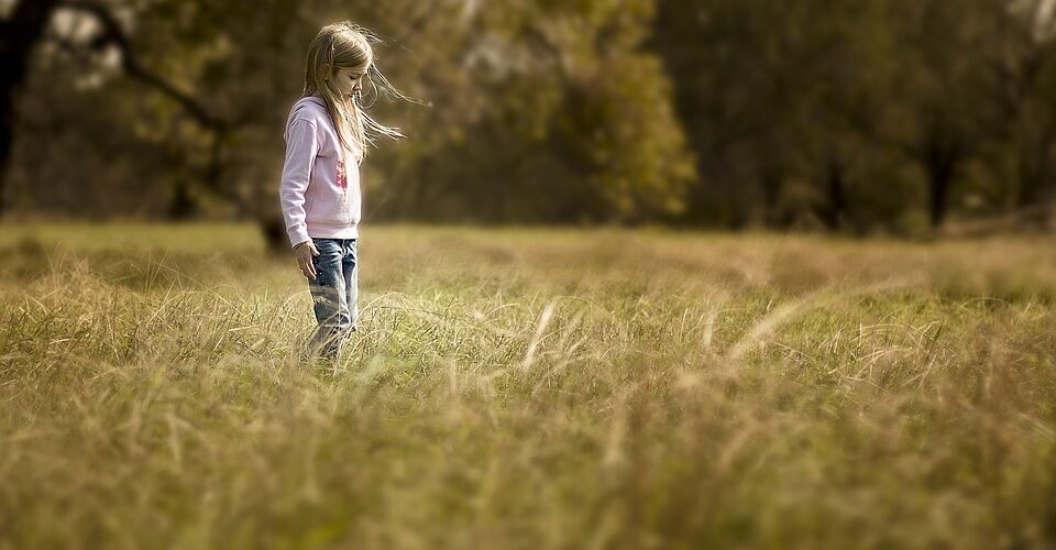 “Si supiera que el mundo se ha de acabar mañana, aun así plantaría un árbol”