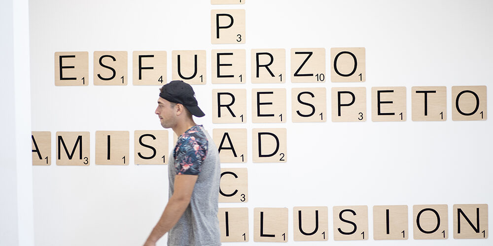 Proyectos de continuidad